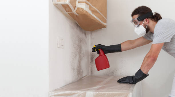 Professional Black Mold Removal technician working in Oakland Mills, PA